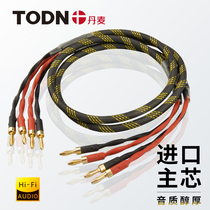 Danish Tongton Burn Grade Banana Head Sound Line Special Line Import Wire Core Hifi Power Amplifier Speaker Connection