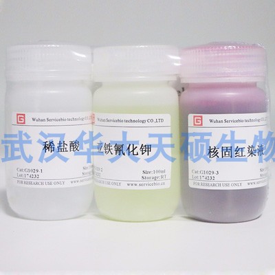 Servicebio 普鲁士蓝染色液 G1029 科研试剂 带票包邮