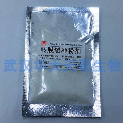 Servicebio 转膜缓冲液 粉剂 G2017 实验室 试剂