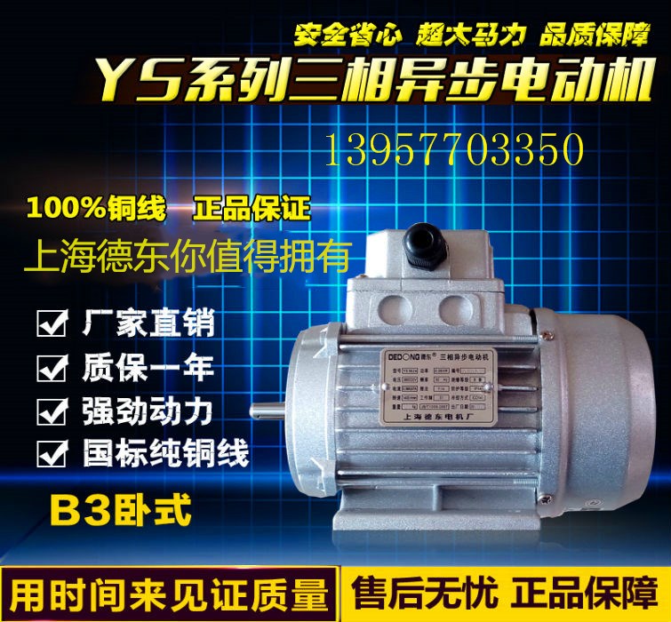 Copper national standard Shanghai Dedong three-phase asynchronous motor YS6324 0 18KW 380V speed 1400r