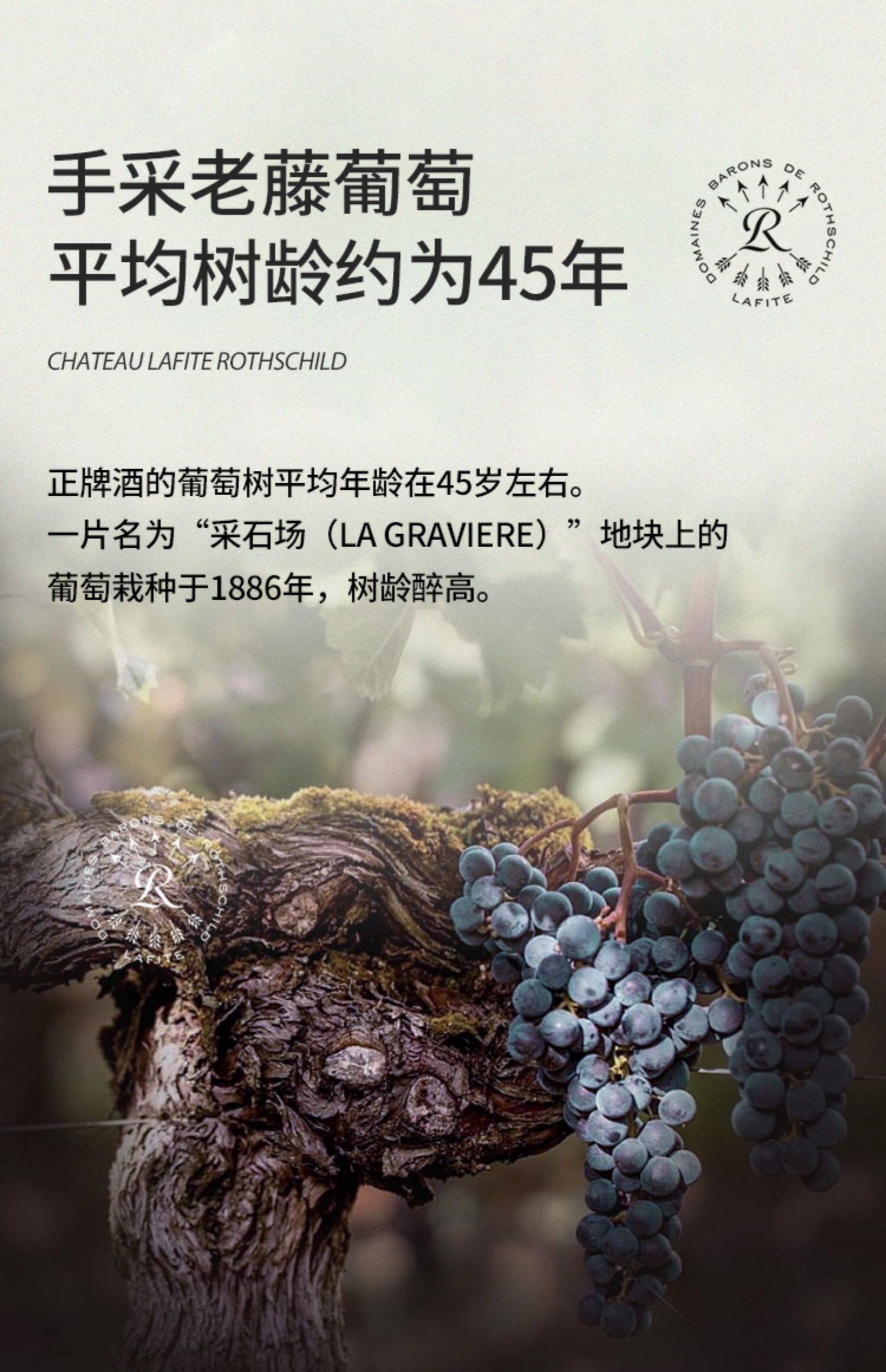 安享好物 安享S级葡萄酒-拉菲古堡 正牌葡萄酒  