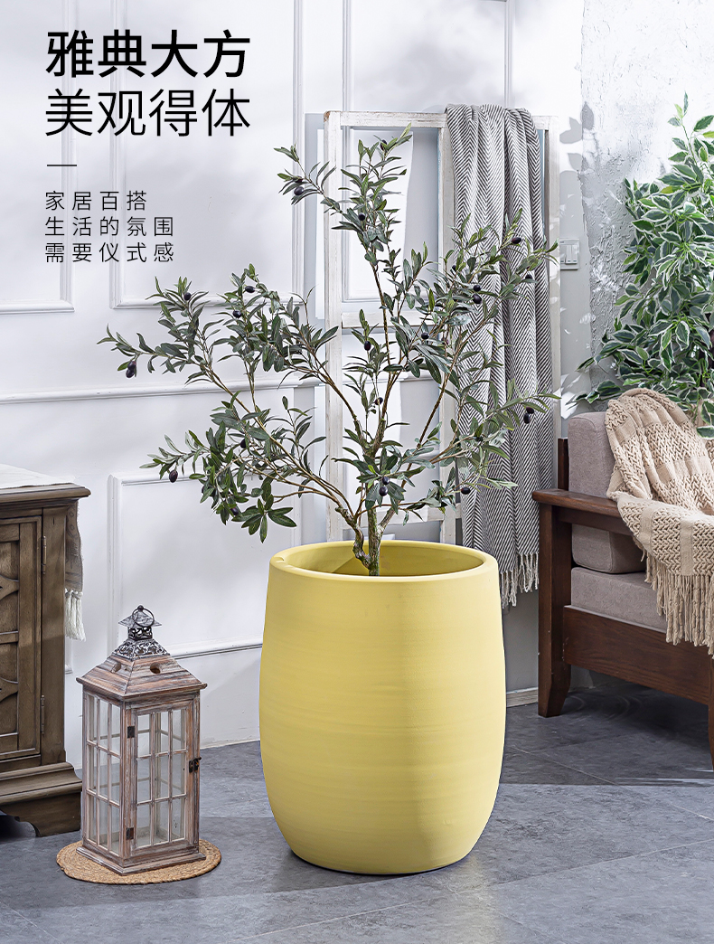 The Nordic idea ceramic flower pot large sitting room of I and contracted hydroponic indoor ground green plant ceramic vases, furnishing articles