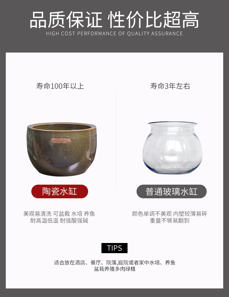 Jingdezhen ceramic aquarium large desktop turtle cylinder goldfish bowl lotus pond lily bowl lotus shallow basin