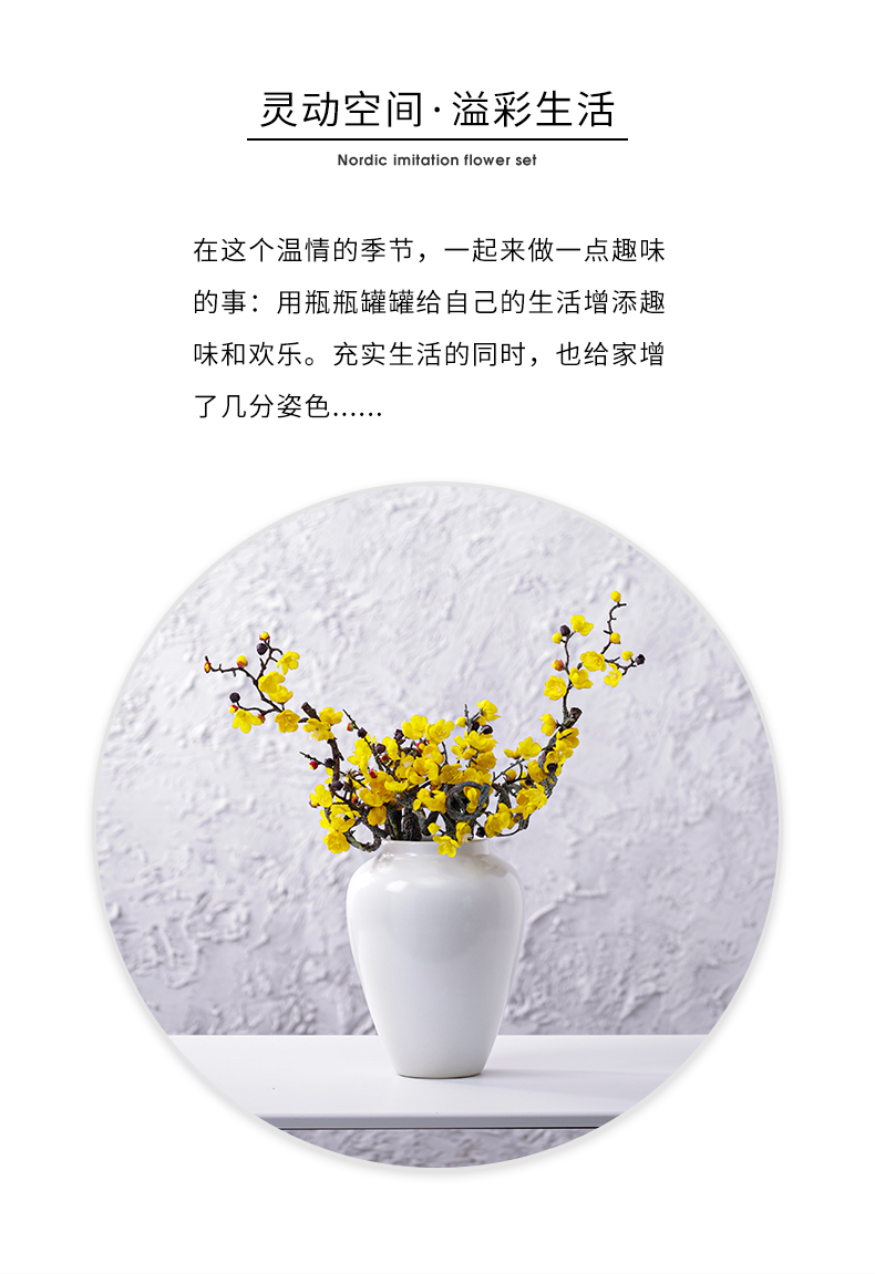 Nordic creative I and contracted sitting room, the dried flower arranging flowers white matte enrolled porcelain vase furnishing articles household act the role ofing is tasted