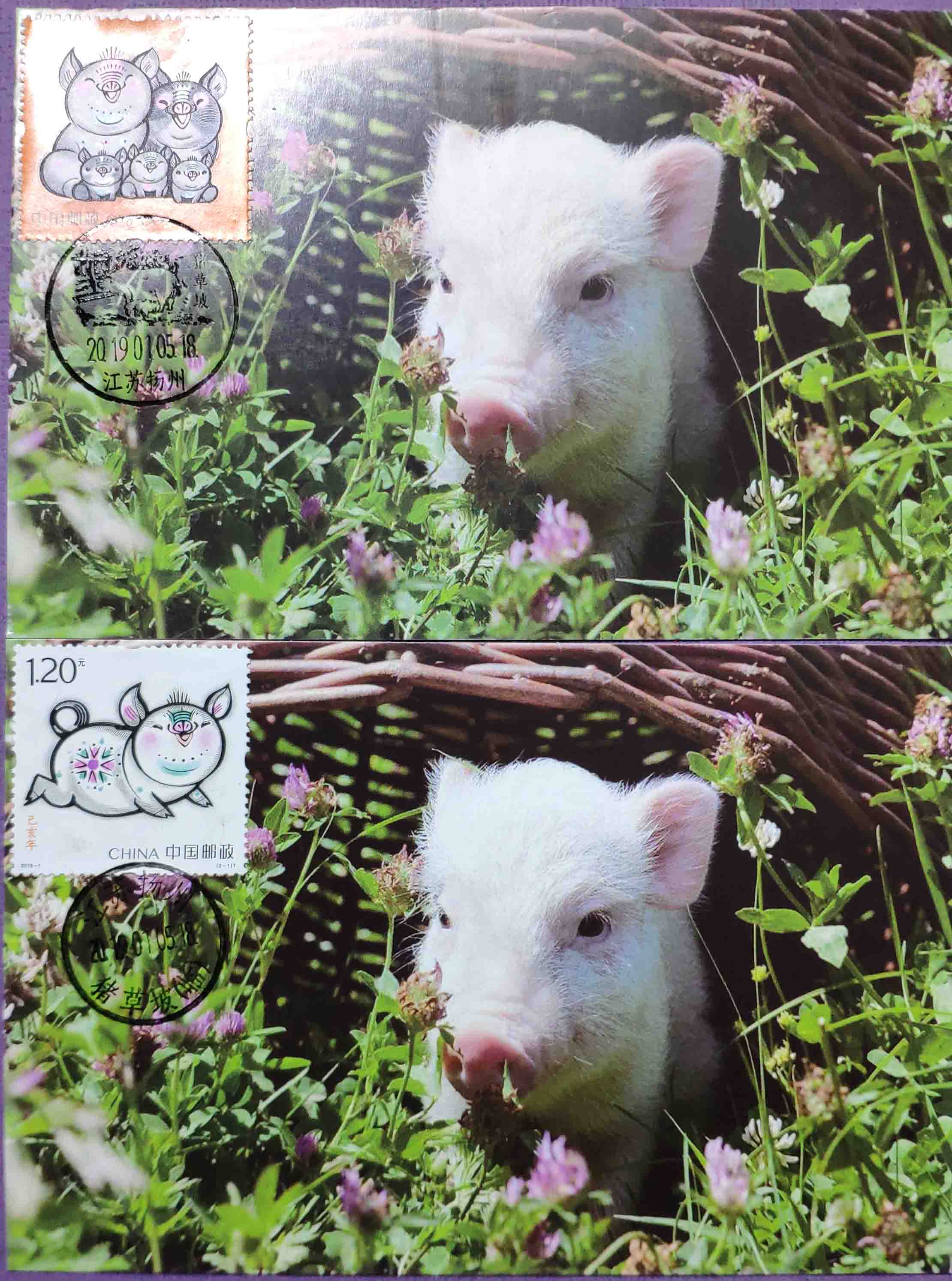 2019-1Xi Hai New Year's Little Flower Pig Extreme Film Single Price Yangzhou Commemorative Landscape Stamp Date Stamp