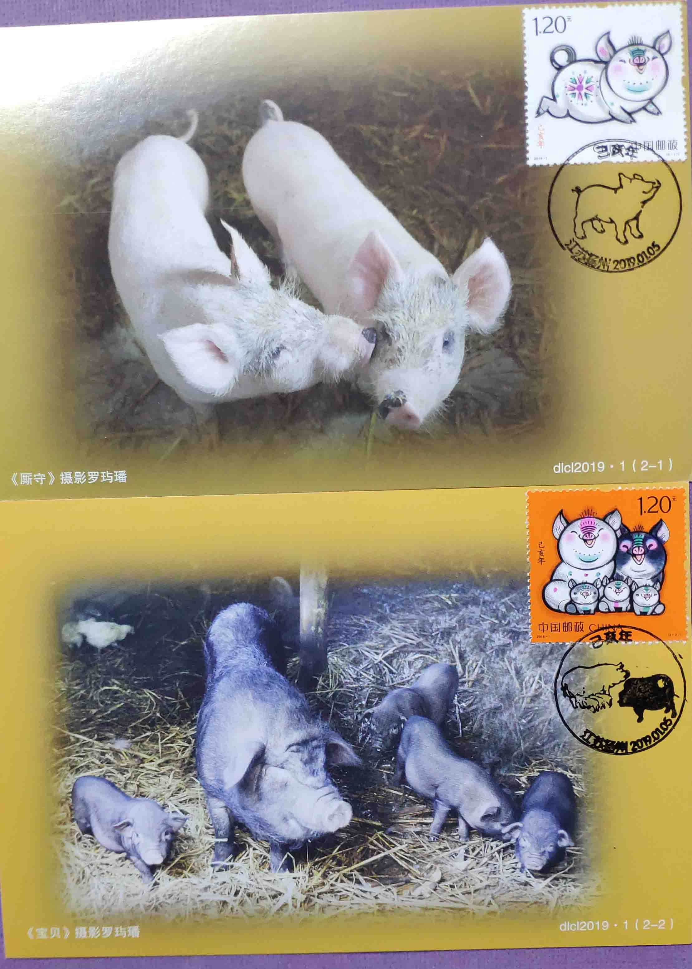 2019-1 Year of the 19th Century Large-Scale Pig Extreme Film Single Price Commemorative Stamp Landscape Stamp Date Stamp Selection