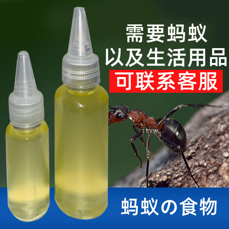 The food that ants eat Japanese Nicobar arched back big ant pet living animal feeding special high-protein nutrition cream