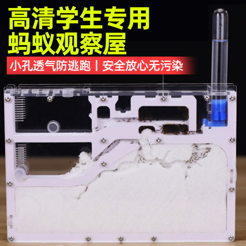 Ant Castle Workshop Box Students Special Breakthrough Watch House Ecological Box Worker Ant Pet Breeding Box