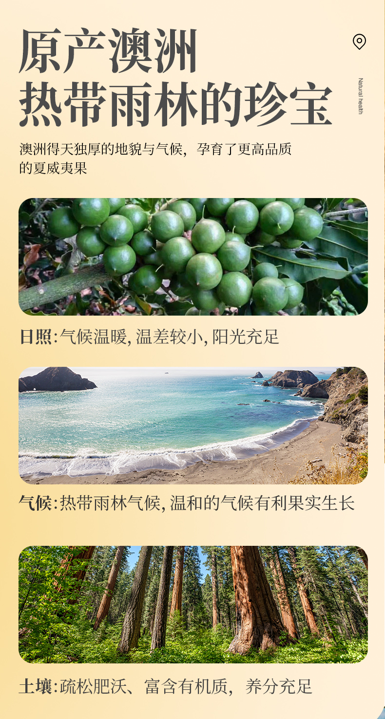 外果侠 原味烘焙 夏威夷果仁 500g/罐 图2