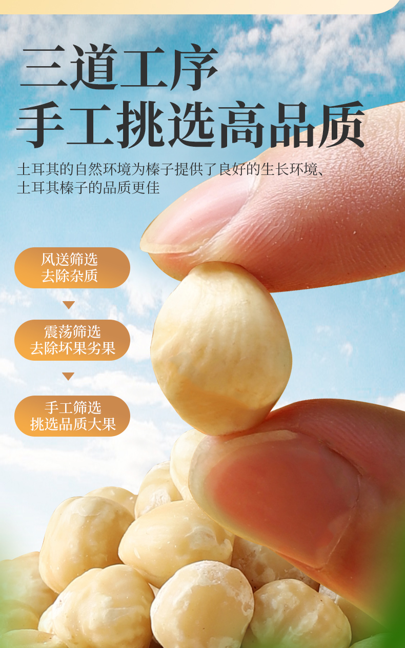 外果侠 榛子仁 原味土耳其 500g罐装 图6
