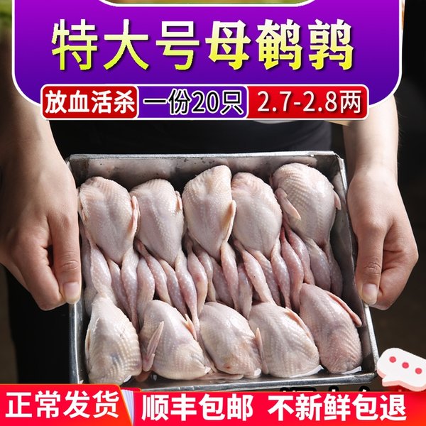 农倍鲜 新鲜现杀大号母鹌鹑 20只 天猫优惠券折后￥68.8顺丰包邮（￥78.8-10）