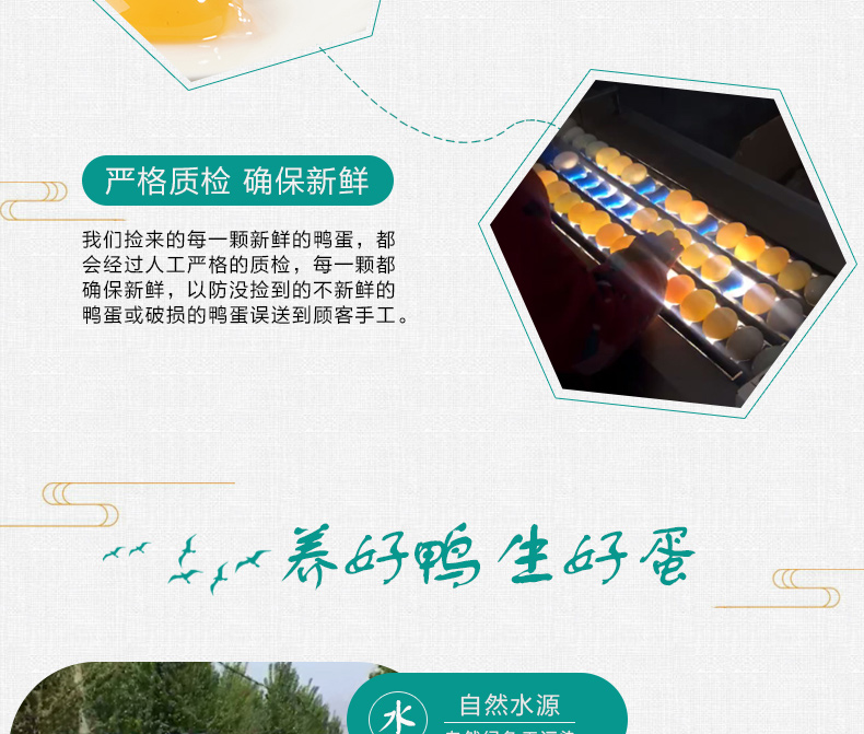 绚哥 农家青壳土鸭蛋 30枚 3.6斤 图8