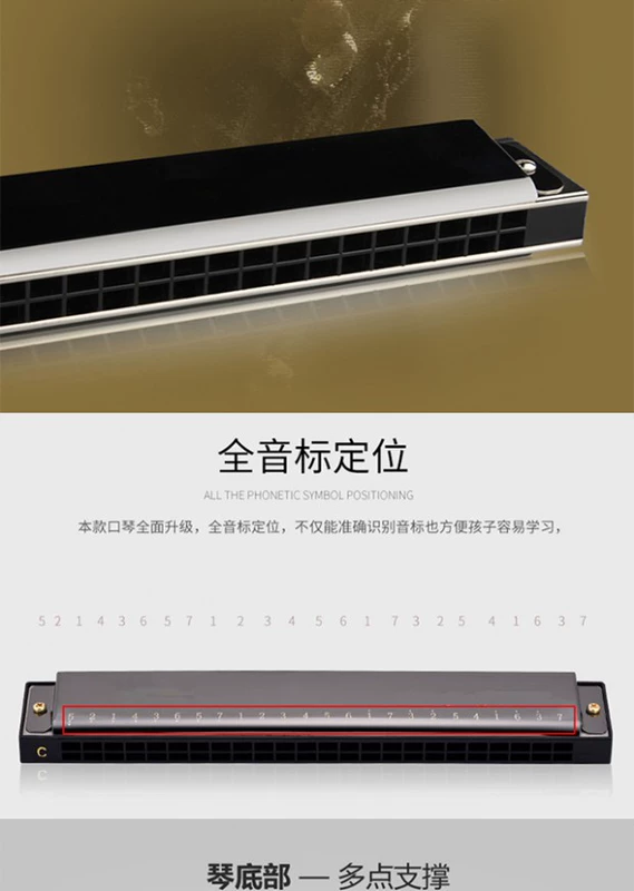 Harmonica gửi tài liệu giảng dạy 24 lỗ 10 lỗ âm thanh nhạc cụ chuyên nghiệp cao cấp dành cho người lớn trẻ em học sinh mới bắt đầu bằng thép không gỉ hai hàng - Nhạc cụ phương Tây