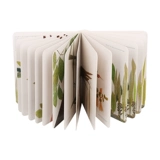 История выживания мудрости Xiaopen от одного дюйма насекомых дюймов за дюймом детская книжка -картин