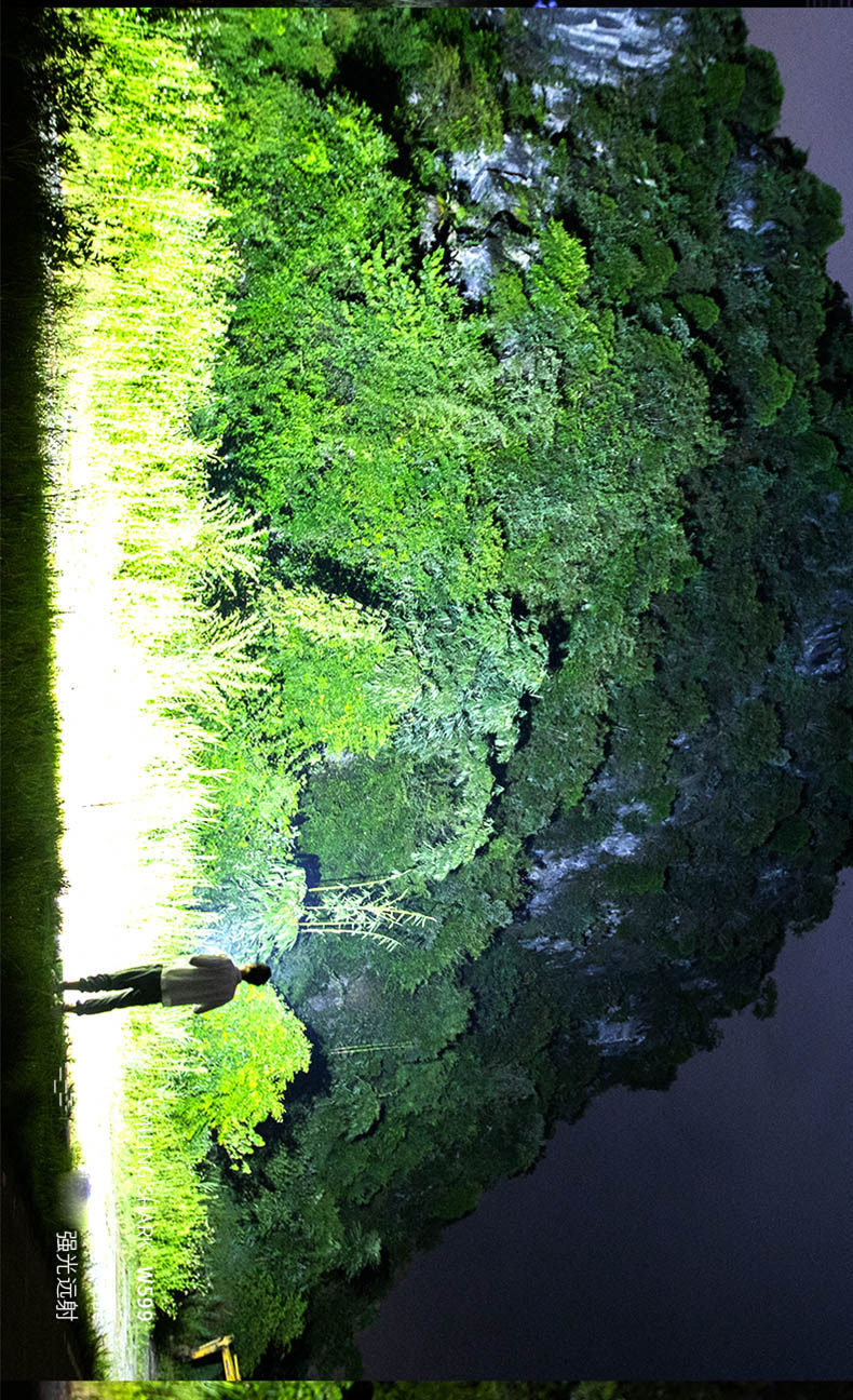 W599_21.jpg