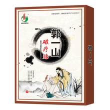 【郭一山】腰腿疼痛消炎镇痛贴*10