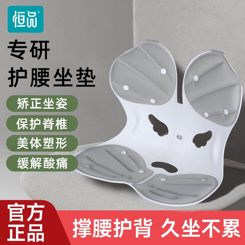 人体工学护腰坐垫靠背垫腰靠腰部支撑矫正坐姿防驼背座椅久坐神器