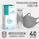 [Медицинский n95 элегантный серый] 40 шт./2 коробки [со стальной пломбой ✅Индивидуальная упаковка]
