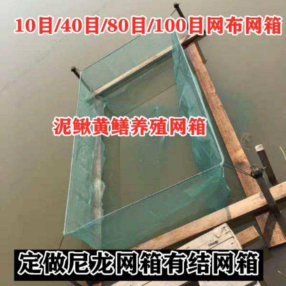 2021 new fish web box mesh stamped with fish farming cage clay loach yellow eel box network 10 mesh breeding fishing nets