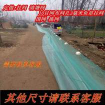 2021 2021 new 10 mesh nets dragnet trawl nets nets with dense eye dragnet summer flowers fish fry loach shrimps