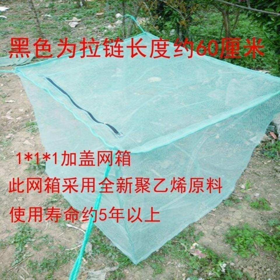 2021 new 10-mesh box mesh stamped with loach breeding cage yellow eel box mesh fish box netting to do breeding