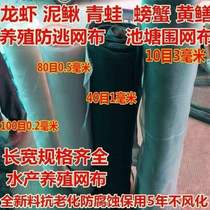 2021 new 10 10 item 40 mesh net cloth 100 m long enclosure nets anti-escape net cage fish pond enclosure nets for breeding chickens