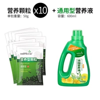 Питательный раствор, 50г, 600 мл