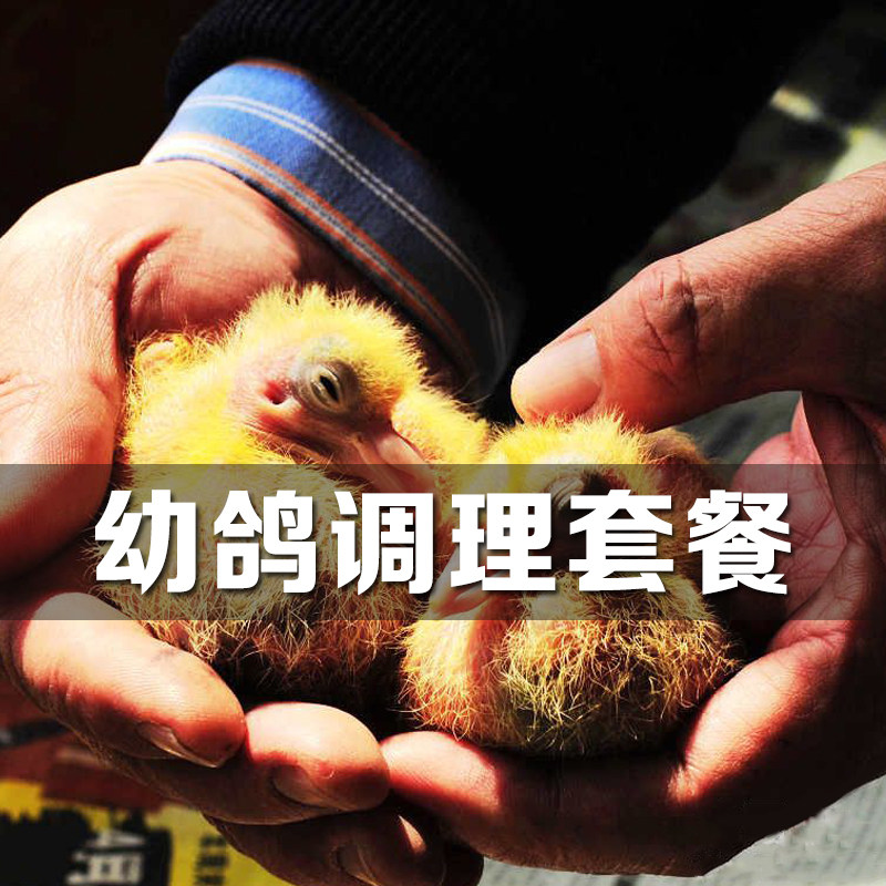 Pigeon-grabbing pigeon specialized triplet inhalation pigeon pestilence pigeon powder powder live gut bath pill