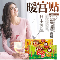KINCHO Golden bird Japan imported warm stickers Warm baby female self-heating cold repellent stickers Conditioning wormwood ginger warm stickers