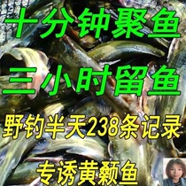 Yellow Sanguan Spurs Fish Nest Stock New Products Yellowpelt Fish Nest to catch yonnais for cognisant scalloper bait stock Spurs