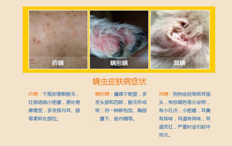 Bệnh da chó nhiễm nấm 100 thú cưng thú cưng thuốc thú cưng mèo 癣 mèo 藓 terbinafine phun - Cat / Dog Medical Supplies 	bộ kim tiêm thú y