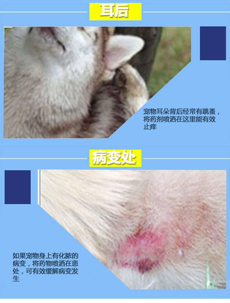 Bệnh da chó nhiễm nấm 100 thú cưng thú cưng thuốc thú cưng mèo 癣 mèo 藓 terbinafine phun - Cat / Dog Medical Supplies 	bộ kim tiêm thú y