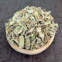 Guangxi New Stock Fresh Large Leaf Gold Money Grass Dry Nature Wide Gold Money Grass Tea Bubble Water Cooking Tea Clean No Crushed Residue 500g