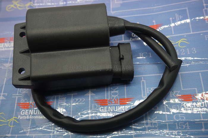 Piaggio Lady 100 High Pressure Pack FLY100 Happy 100 Karma 100 Piaggio 100 Igniter DZ100