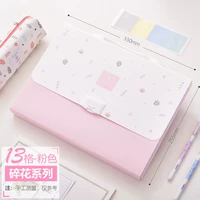 Pink 13 Grid A4-72472