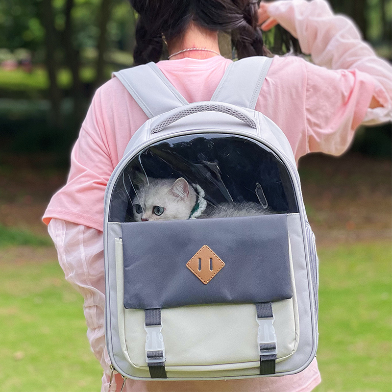 Cat Bag Double Shoulder Out of Portable Cat Backpack Pet School Bag Large Capacity Canvas Breathable Summer Kitty Carry Supplies 