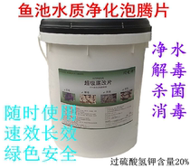 Landscape fish pond water purification potassium hydrogen persulfate disinfection effervescent tablets aquatic landscape fish tank and fish pond disinfection
