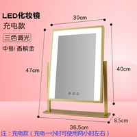 Вращающаяся золото (панель Light Strip 30*40) Модель зарядки