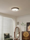 Dizan American Retro Ceiling Light for Master Bedroom and Study, High-End American Minimalist 2026 New Model Bedroom and Study Light