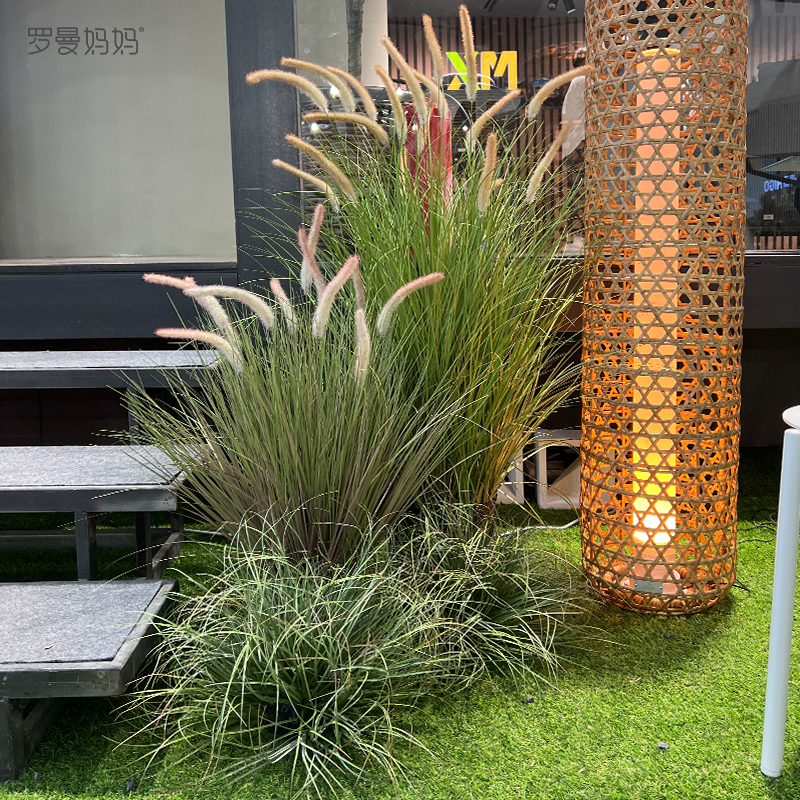 Roman Mother Nature Original Wild Emulation Green Plant Potted Reed Grass Simulation Flowers Fake Dog Tailgrass Indoor Living Room Decoration-Taobao
