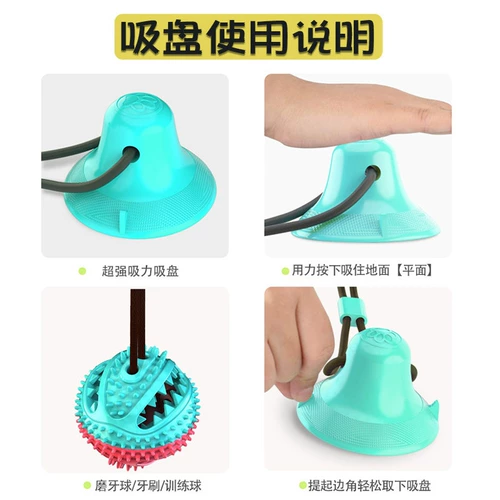 Собачья чашка гоночная игрушка Dog Pet Bal