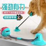 Собачья чашка гоночная игрушка Dog Pet Bal