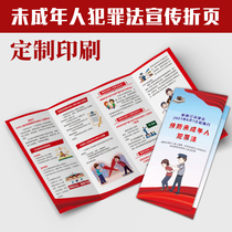 New Revision Prevention Minors Crime Legal Knowledge Highlights of Advocacy Single Manual Four foldout 2248