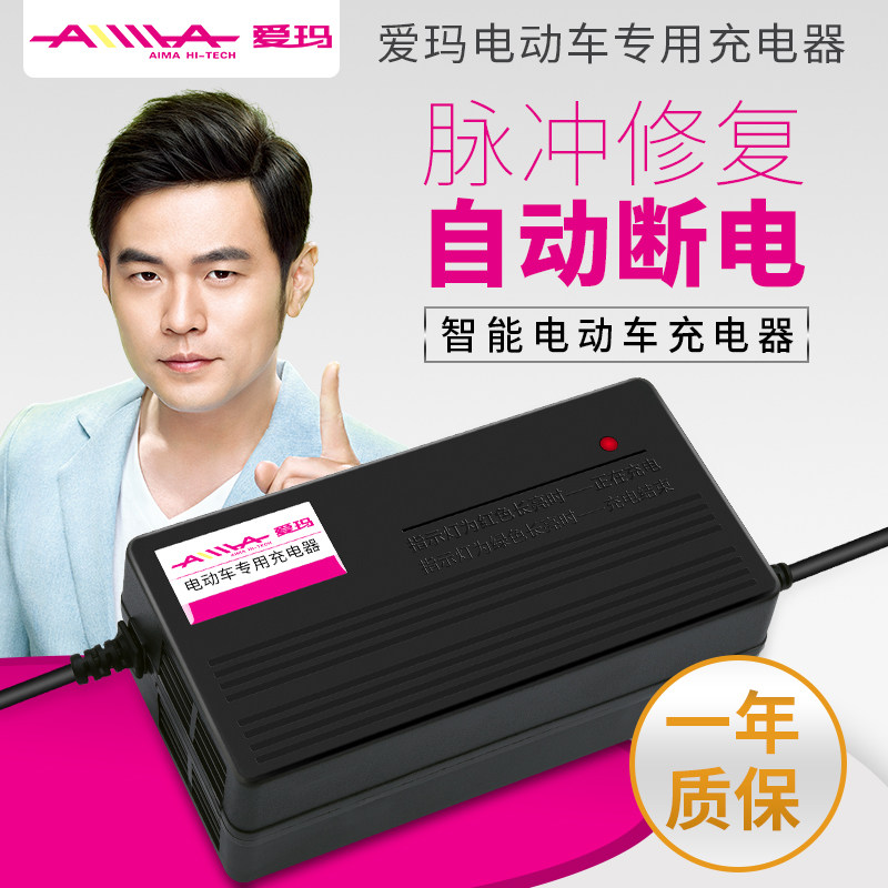 Emma electric car original special charger 36V 48V 60V 72V socket