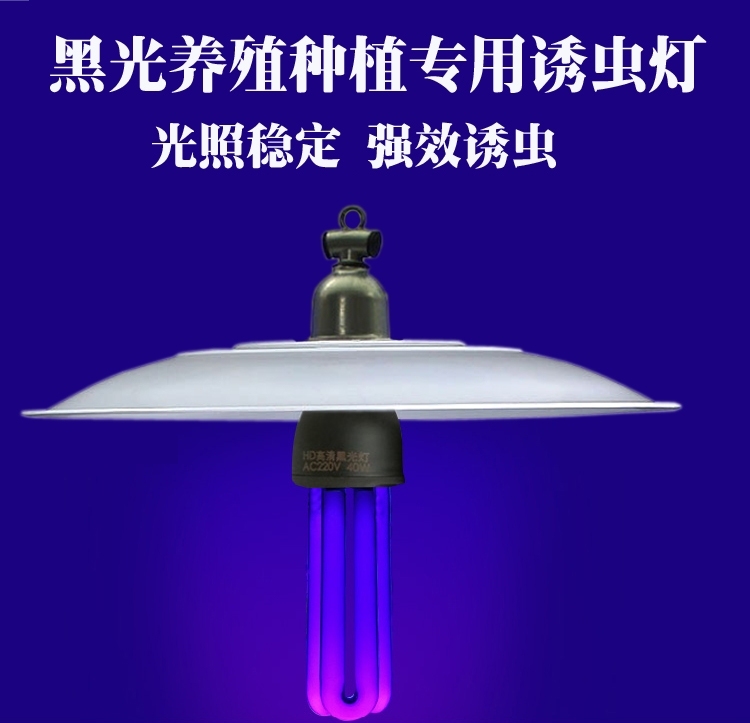 12V48V Insect-Attracting and Killing Lamp for Outdoor Agricultural Use in Orchards and Fish Ponds, Black Light Insect Trap, Moth-Killing Lamp