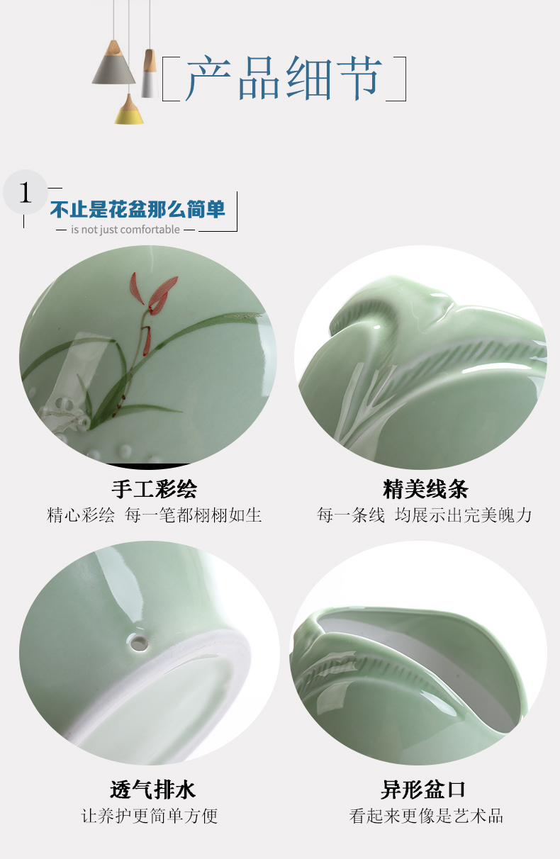 Large flower pot in twelve Chinese rose, celadon ceramic green plant, fleshy asparagus I and contracted creative orchid is special