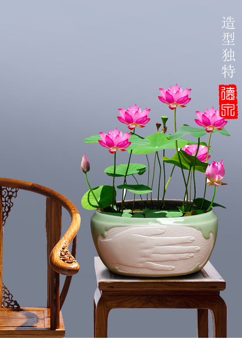 Ceramic hydroponic flower pot copper bowl lotus lotus grass withered lotus refers to no Kong Hua fish scenery new suit