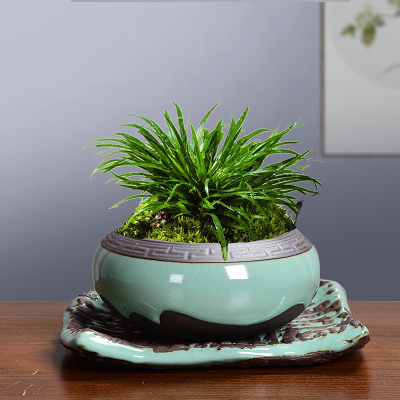Elder brother up with ceramic fleshy white anthurium zhang huai ancient zen standard contracted creative move with tray flower pot