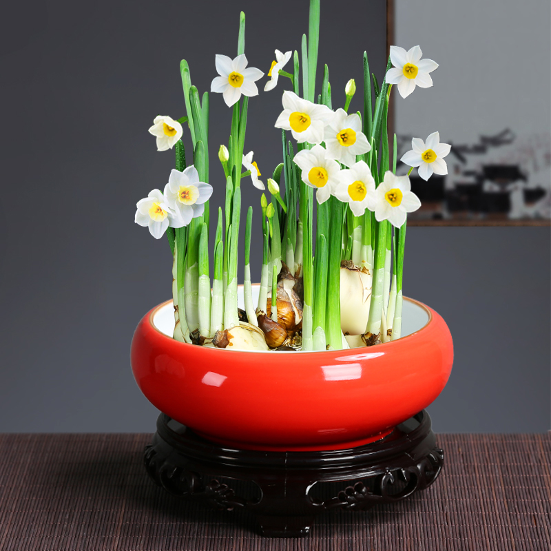 Special ceramic refers to flower pot grass cooper water lily bowl lotus hydroponic contracted creative new product without hole size basin