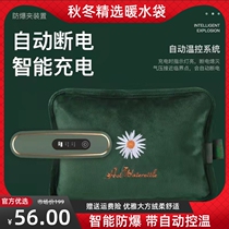 Hot water bottle rechargeable hand warmer treasure explosion-proof warm water bag warm palace warm baby cute plush smart warm belly